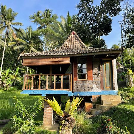 Villa Oemah Tepi Sawah Jatiluwih Esterno foto