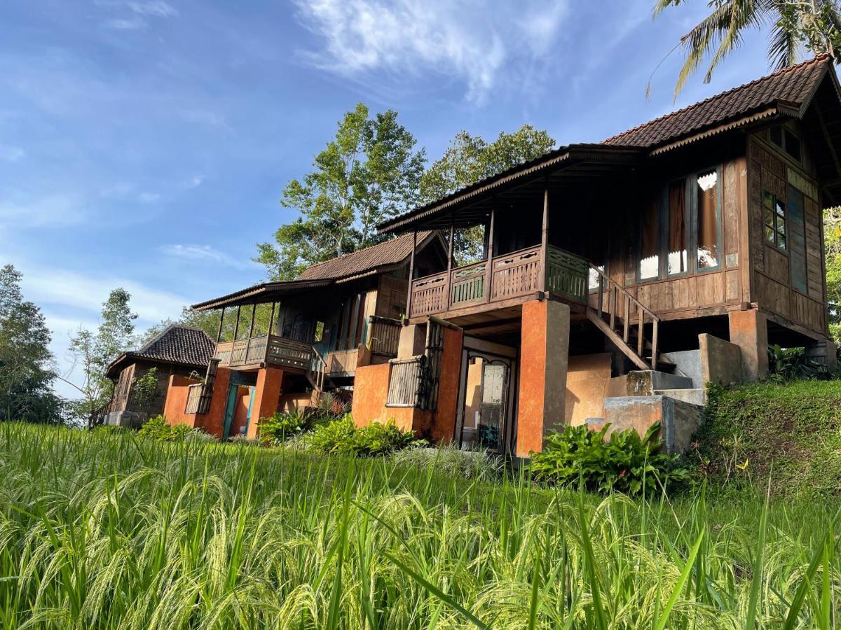 Villa Oemah Tepi Sawah Jatiluwih Esterno foto