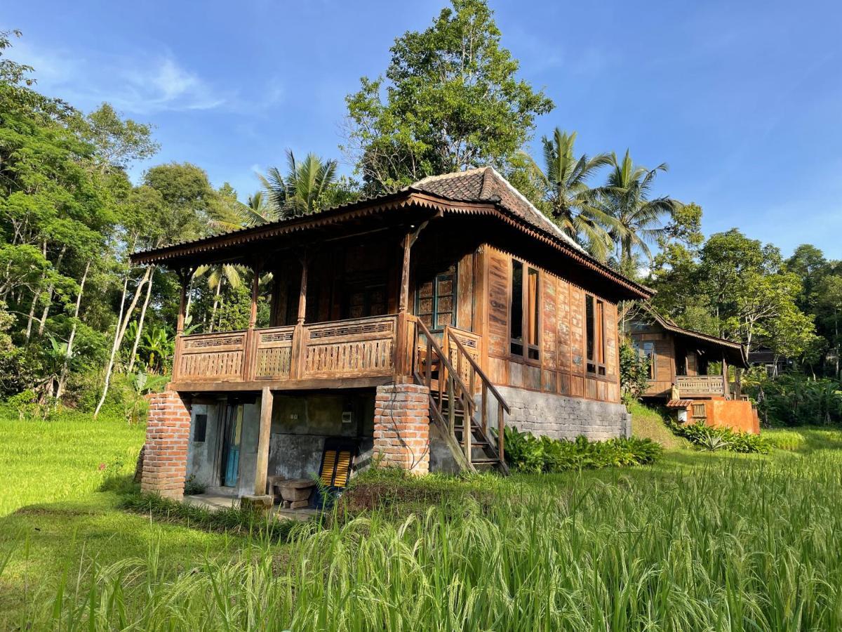 Villa Oemah Tepi Sawah Jatiluwih Esterno foto