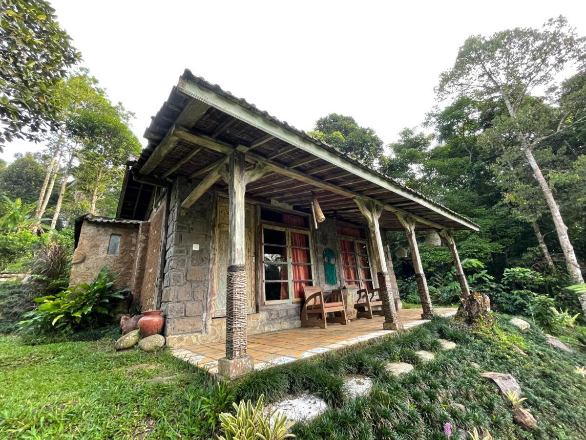 Villa Oemah Tepi Sawah Jatiluwih Esterno foto
