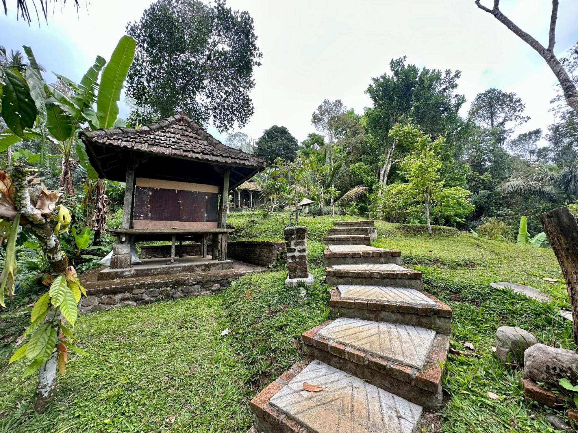 Villa Oemah Tepi Sawah Jatiluwih Esterno foto