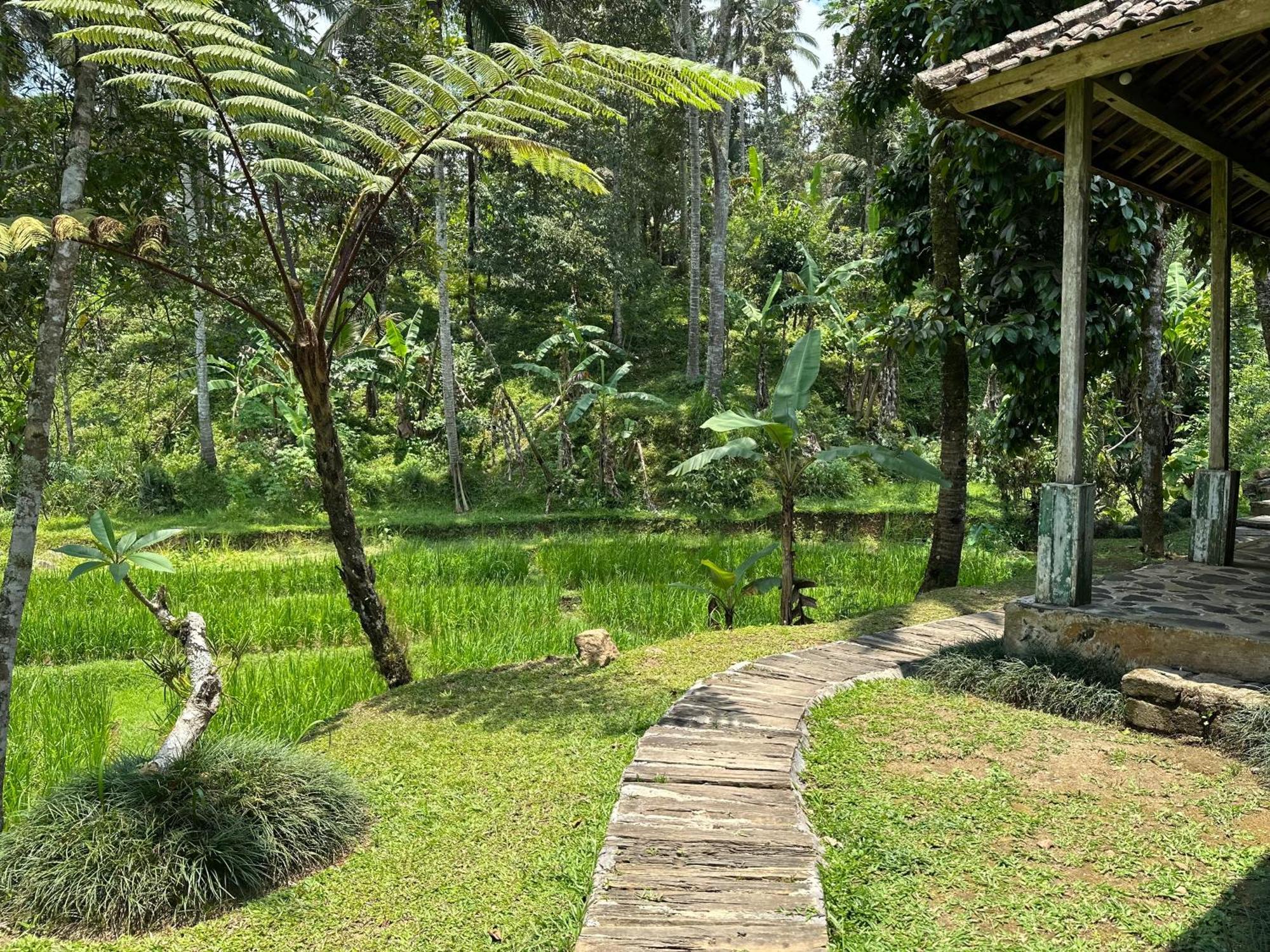 Villa Oemah Tepi Sawah Jatiluwih Esterno foto