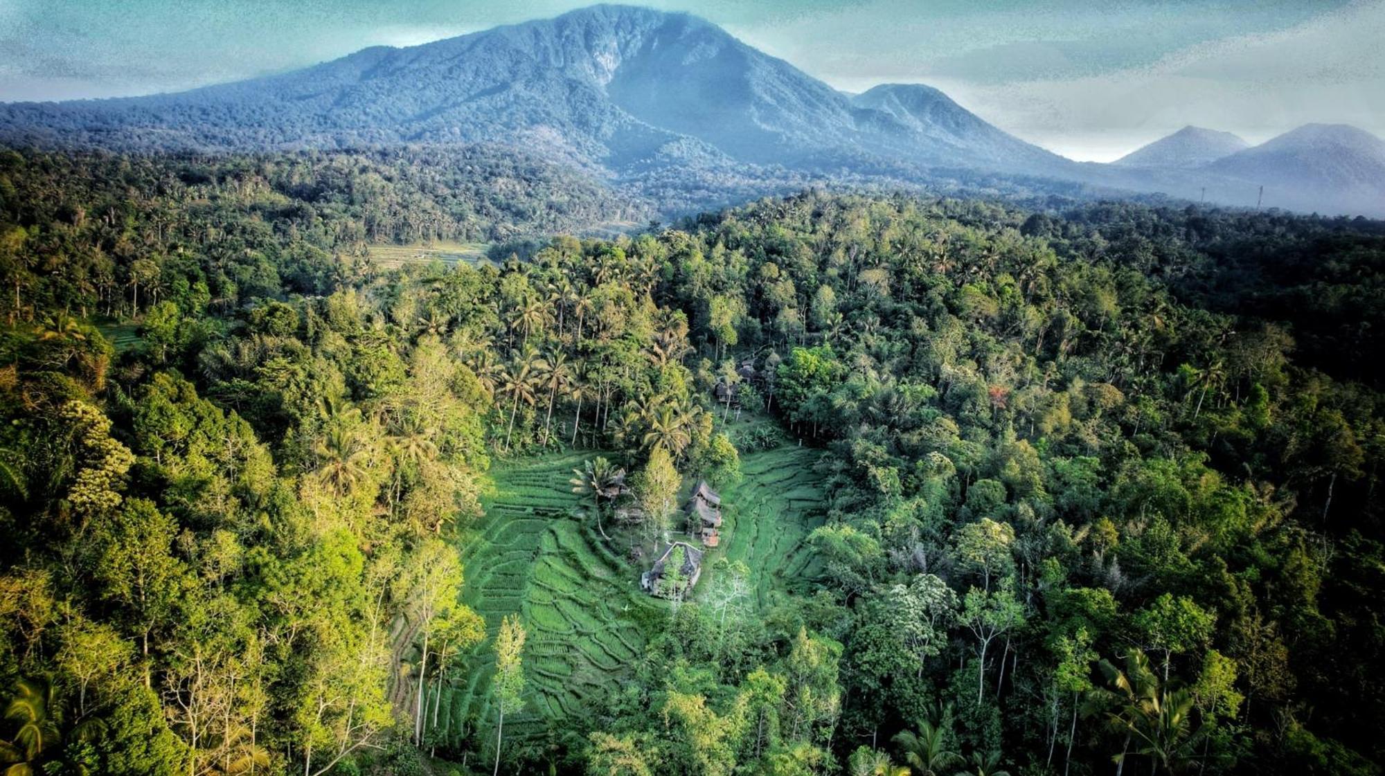 Villa Oemah Tepi Sawah Jatiluwih Esterno foto