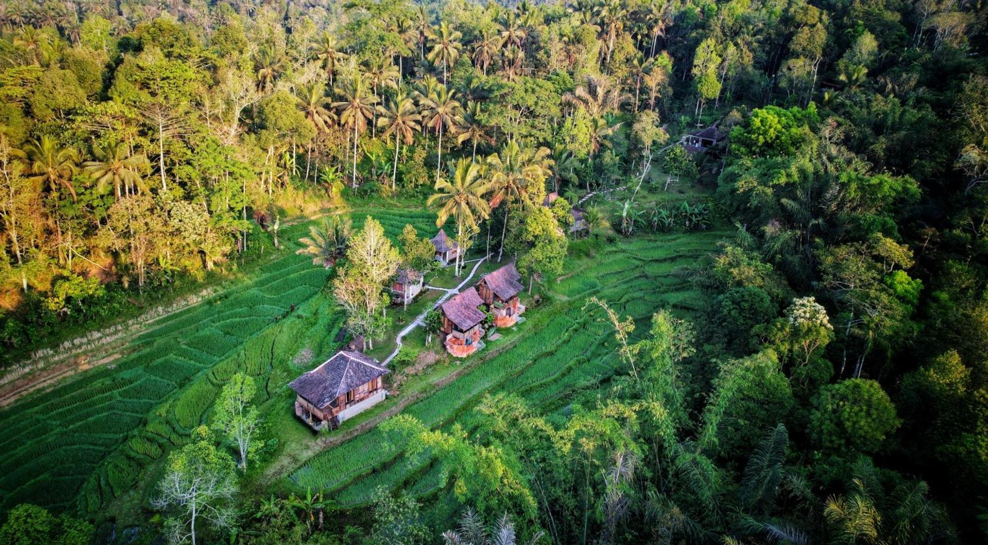 Villa Oemah Tepi Sawah Jatiluwih Esterno foto
