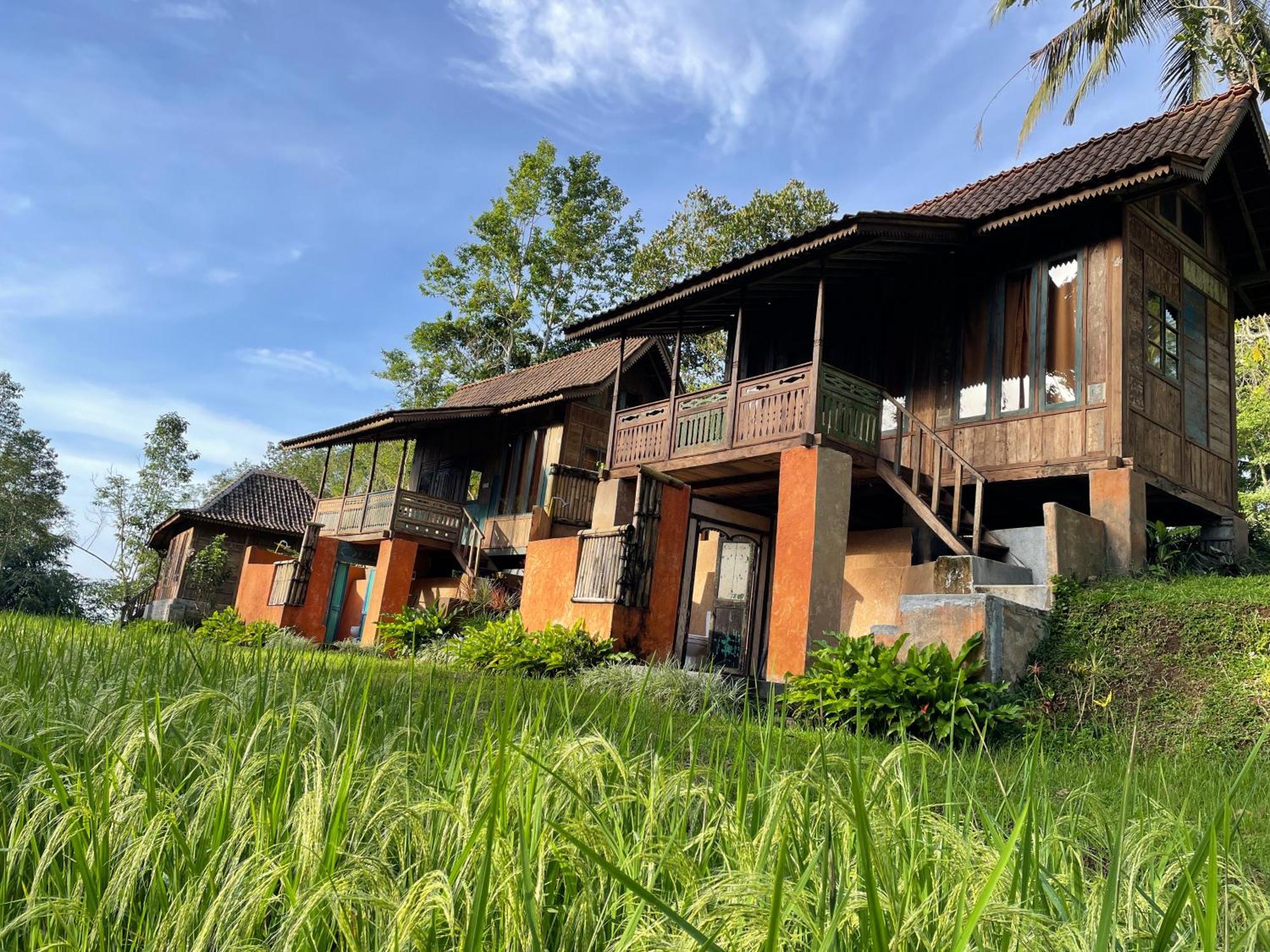 Villa Oemah Tepi Sawah Jatiluwih Esterno foto