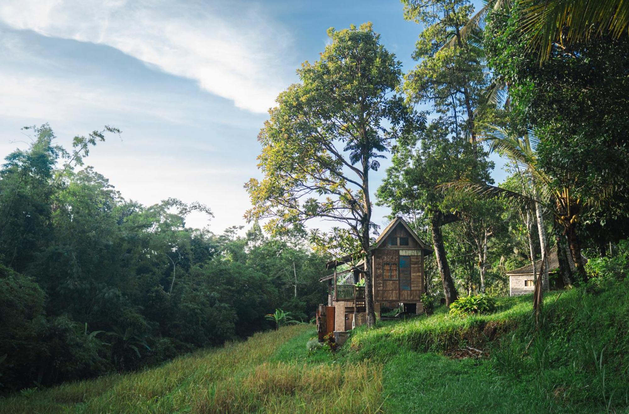 Villa Oemah Tepi Sawah Jatiluwih Esterno foto