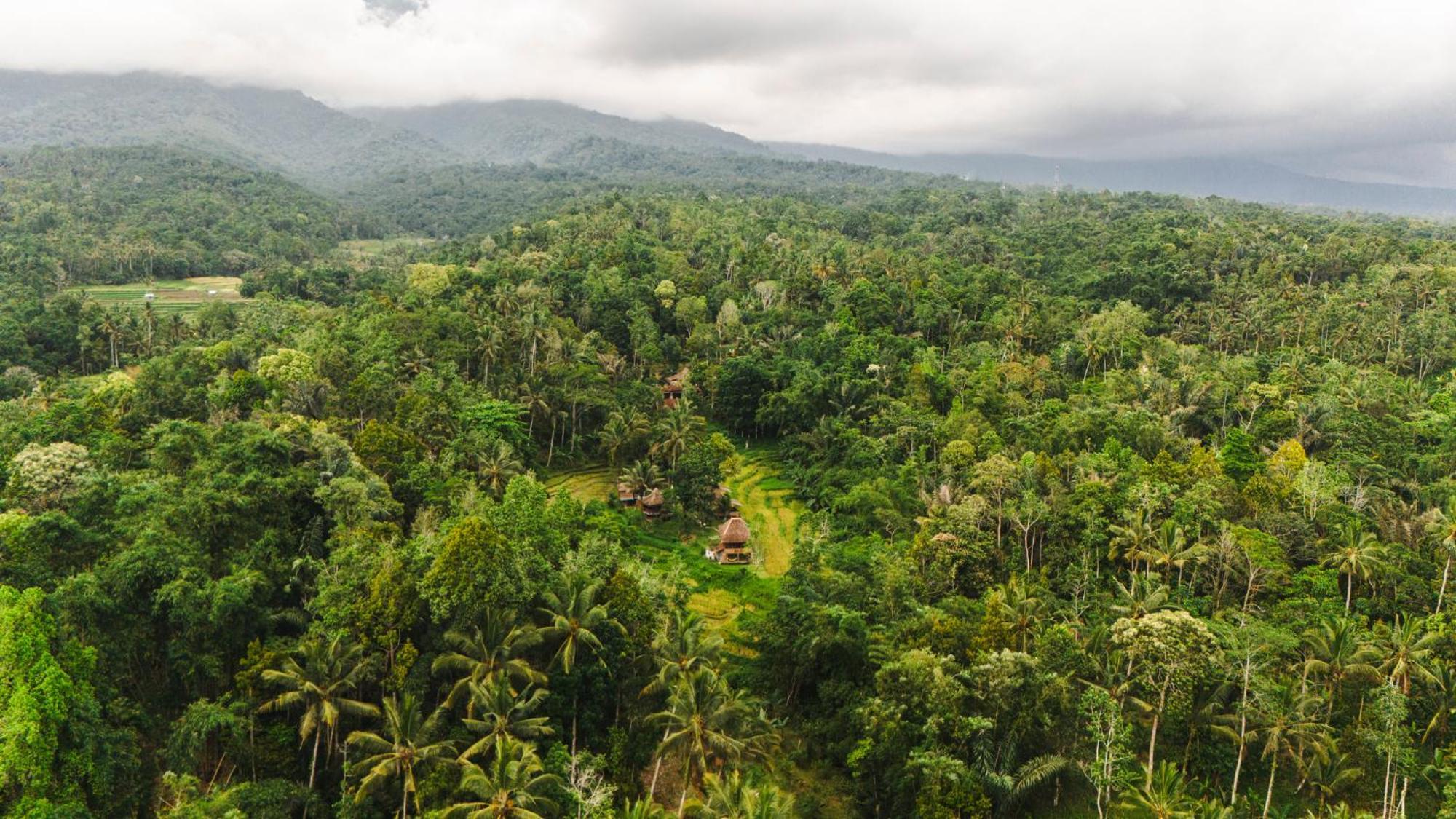 Villa Oemah Tepi Sawah Jatiluwih Esterno foto